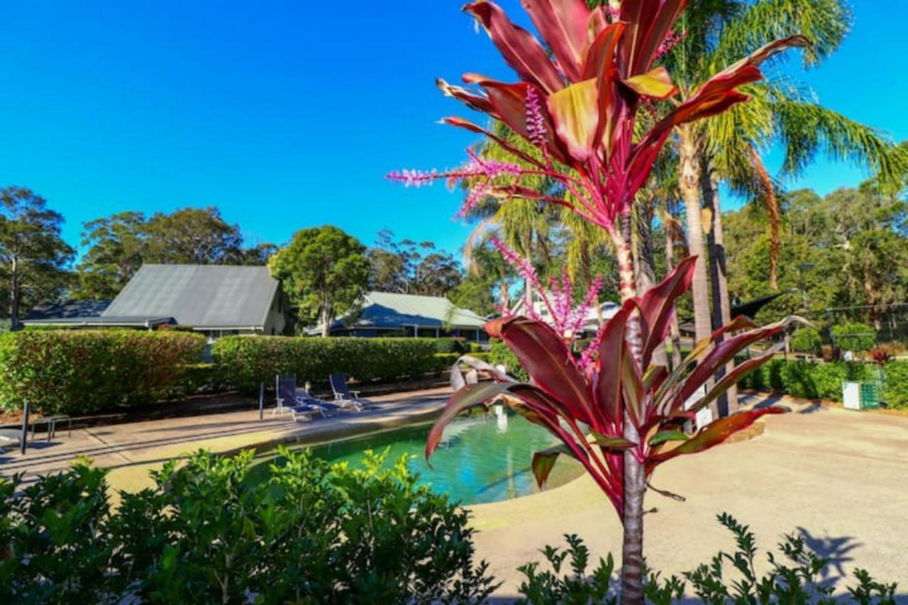 Wattlebird Treetop Townhouse Villa Cams Wharf Exterior foto